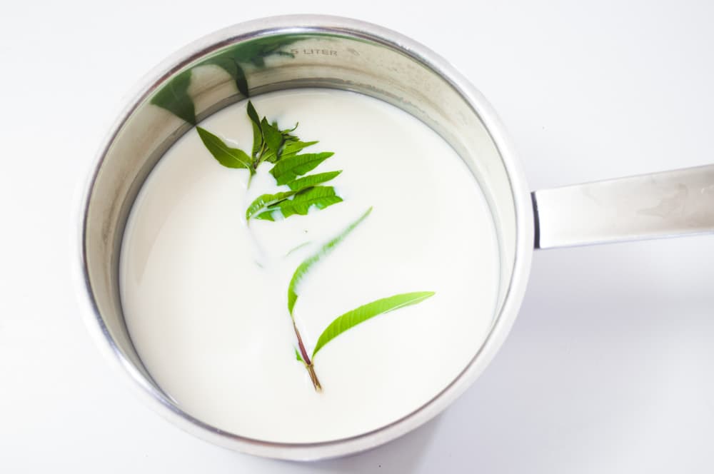 Verveine au lait
